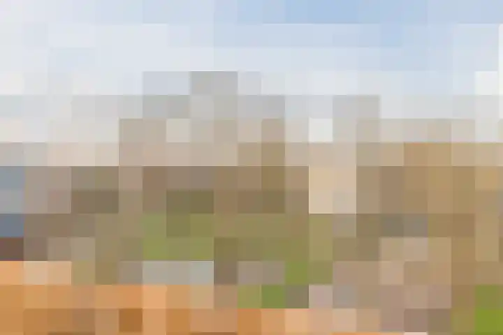 Texel 97 Utrecht thumbnail 15