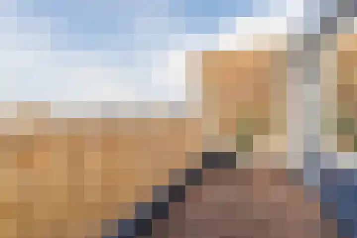 Texel 97 Utrecht thumbnail 18