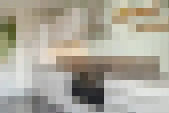 Texel 97 Utrecht thumbnail 24