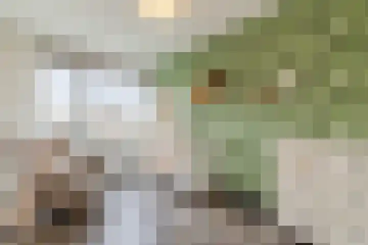 Texel 97 Utrecht thumbnail 31