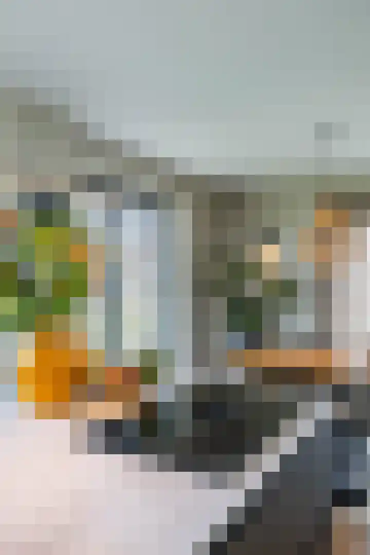 Texelaar 5 Meerstad thumbnail 20