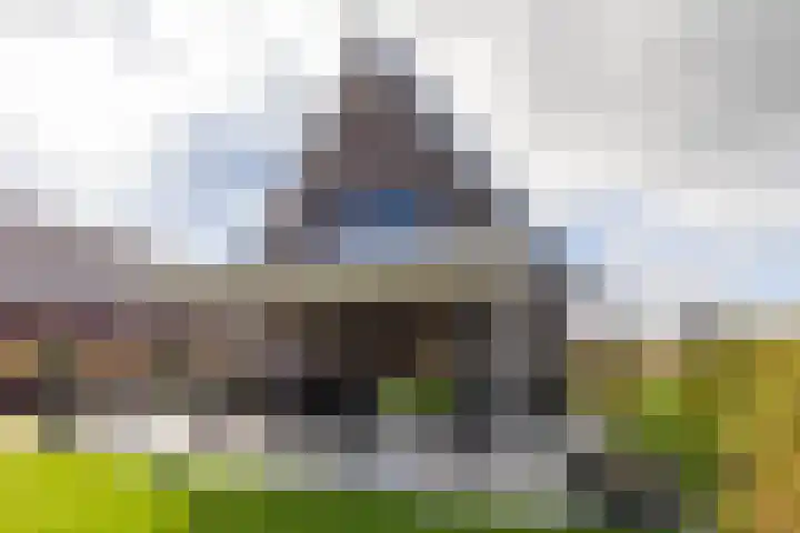 Texelaar 5 Meerstad thumbnail 58