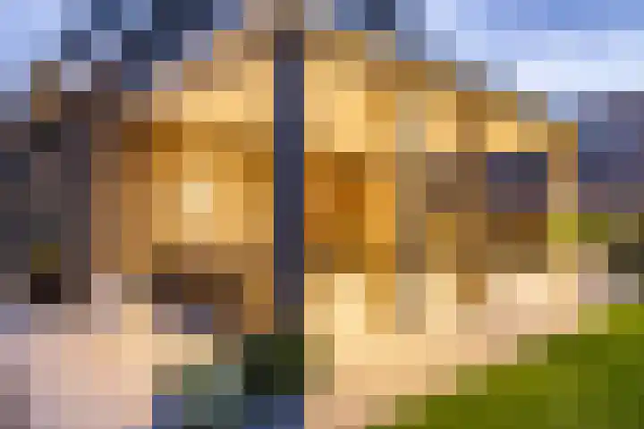 Texelaar 5 Meerstad thumbnail 63