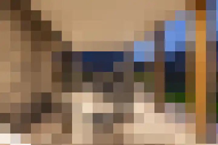 Texelaar 5 Meerstad thumbnail 66