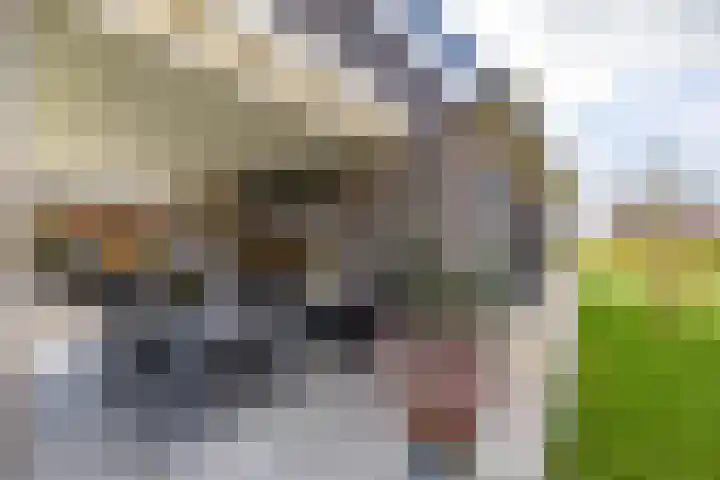 Texelaar 5 Meerstad thumbnail 67