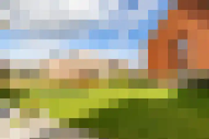 Texelaar 5 Meerstad thumbnail 74