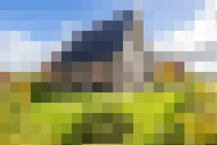 Texelaar 5 Meerstad thumbnail 78