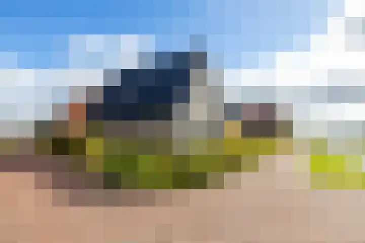 Texelaar 5 Meerstad thumbnail 81