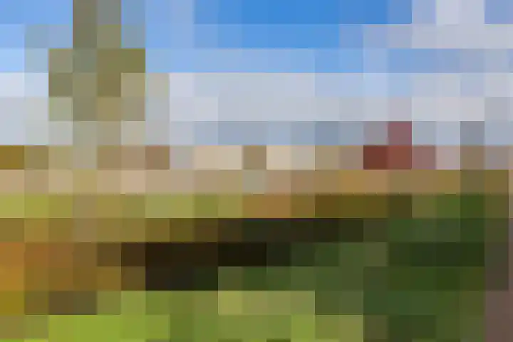 Texelaar 5 Meerstad thumbnail 89