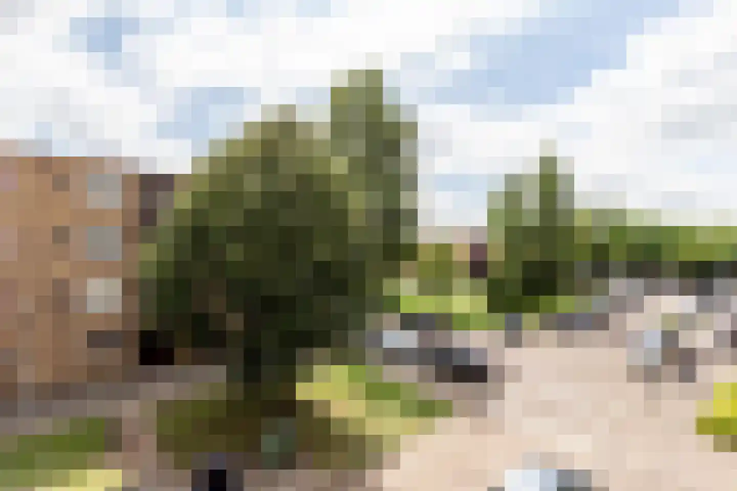 Texelhof 45 Haarlem thumbnail 15