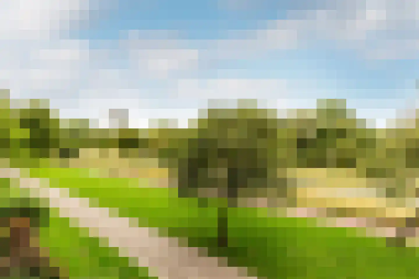 Texelhof 45 Haarlem thumbnail 16