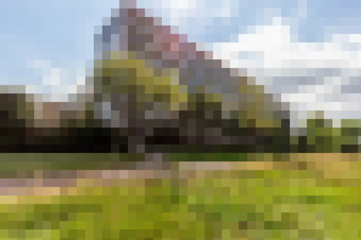 Texelhof 45 Haarlem thumbnail 18