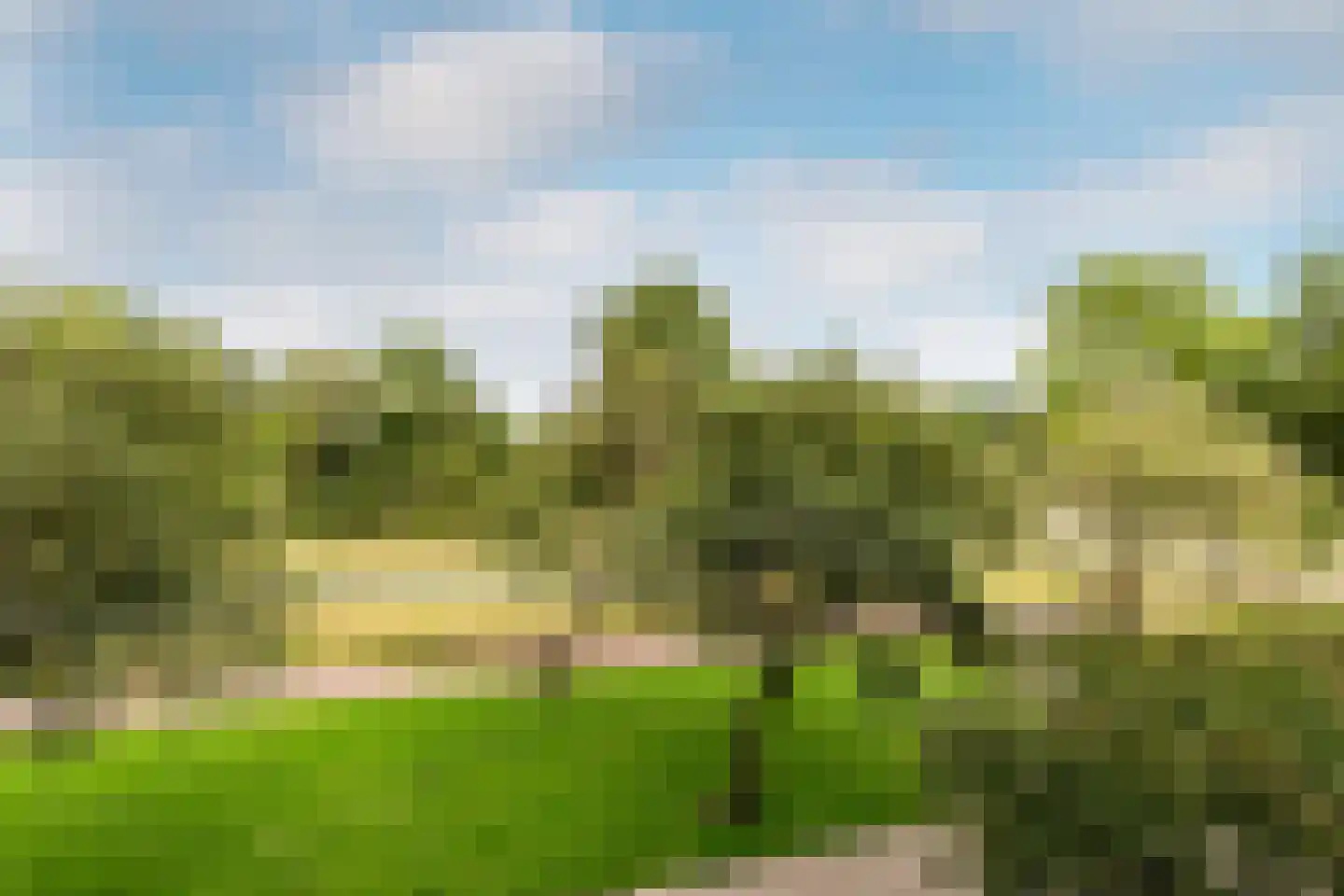 Texelhof 45 Haarlem thumbnail 6