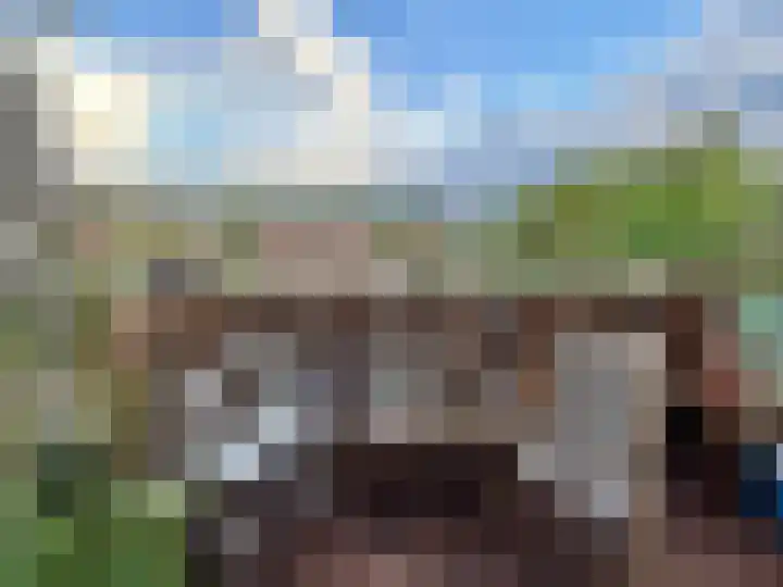 Texelhof 75 Haarlem thumbnail 5