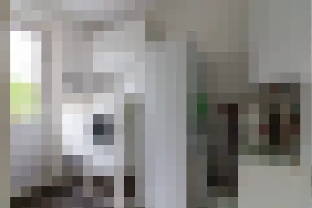 Texellaan 14 Emmeloord thumbnail 16