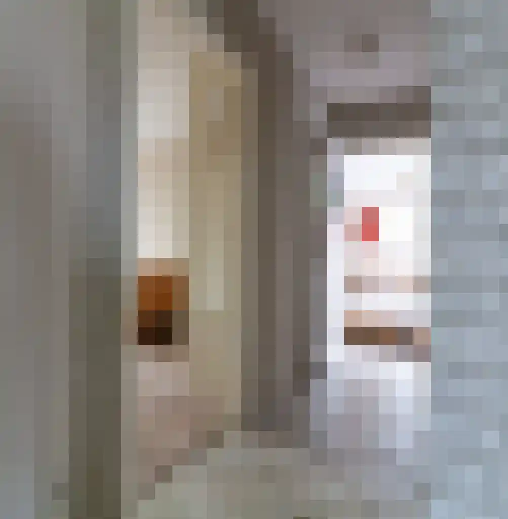 Texellaan 14 Emmeloord thumbnail 18