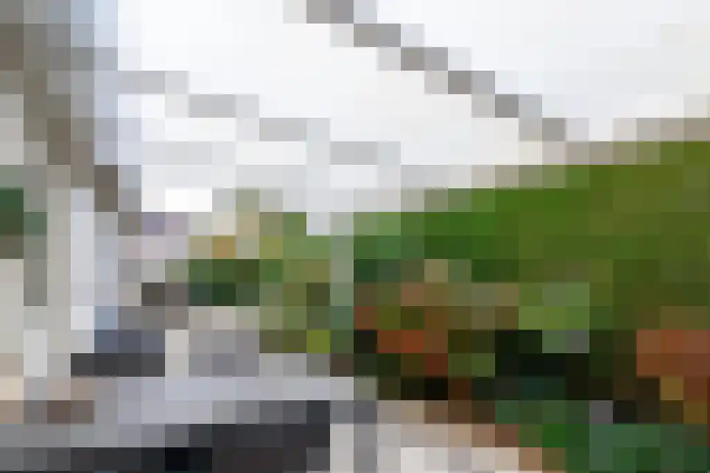 Texellaan 14 Emmeloord thumbnail 26
