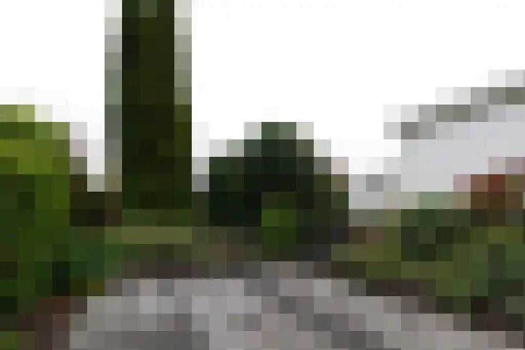 Texellaan 14 Emmeloord thumbnail 28