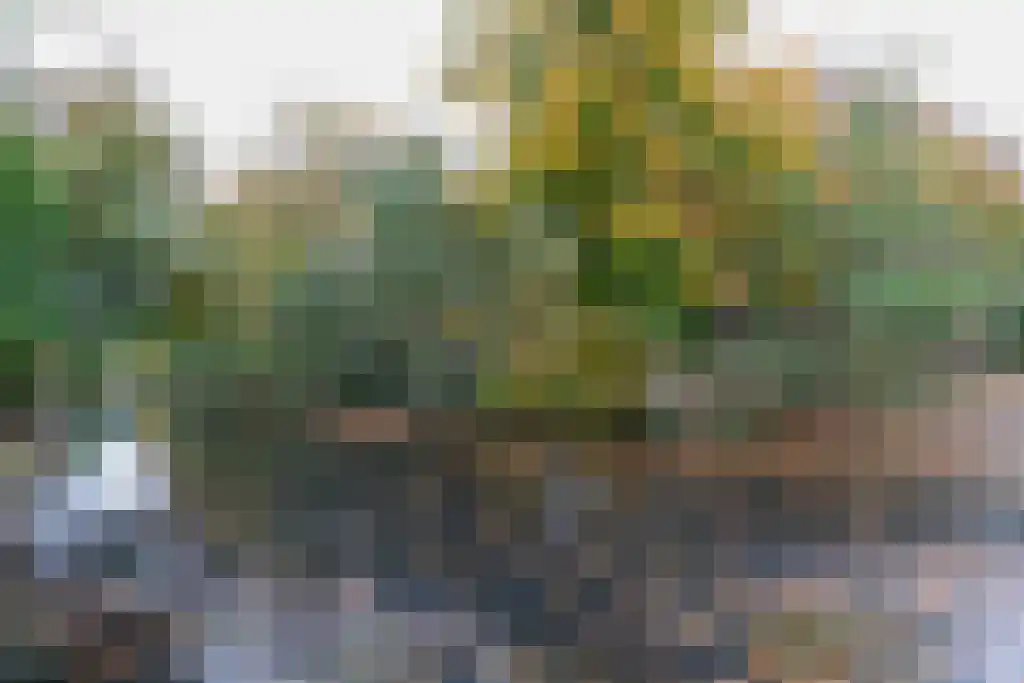 Texellaan 14 Emmeloord thumbnail 29