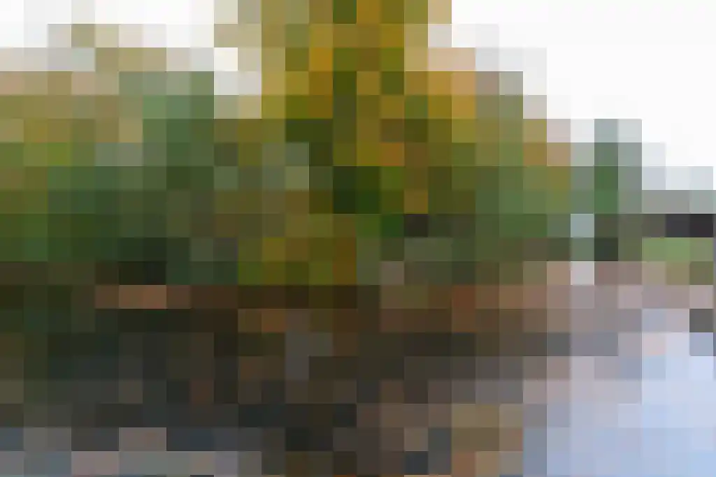 Texellaan 14 Emmeloord thumbnail 30