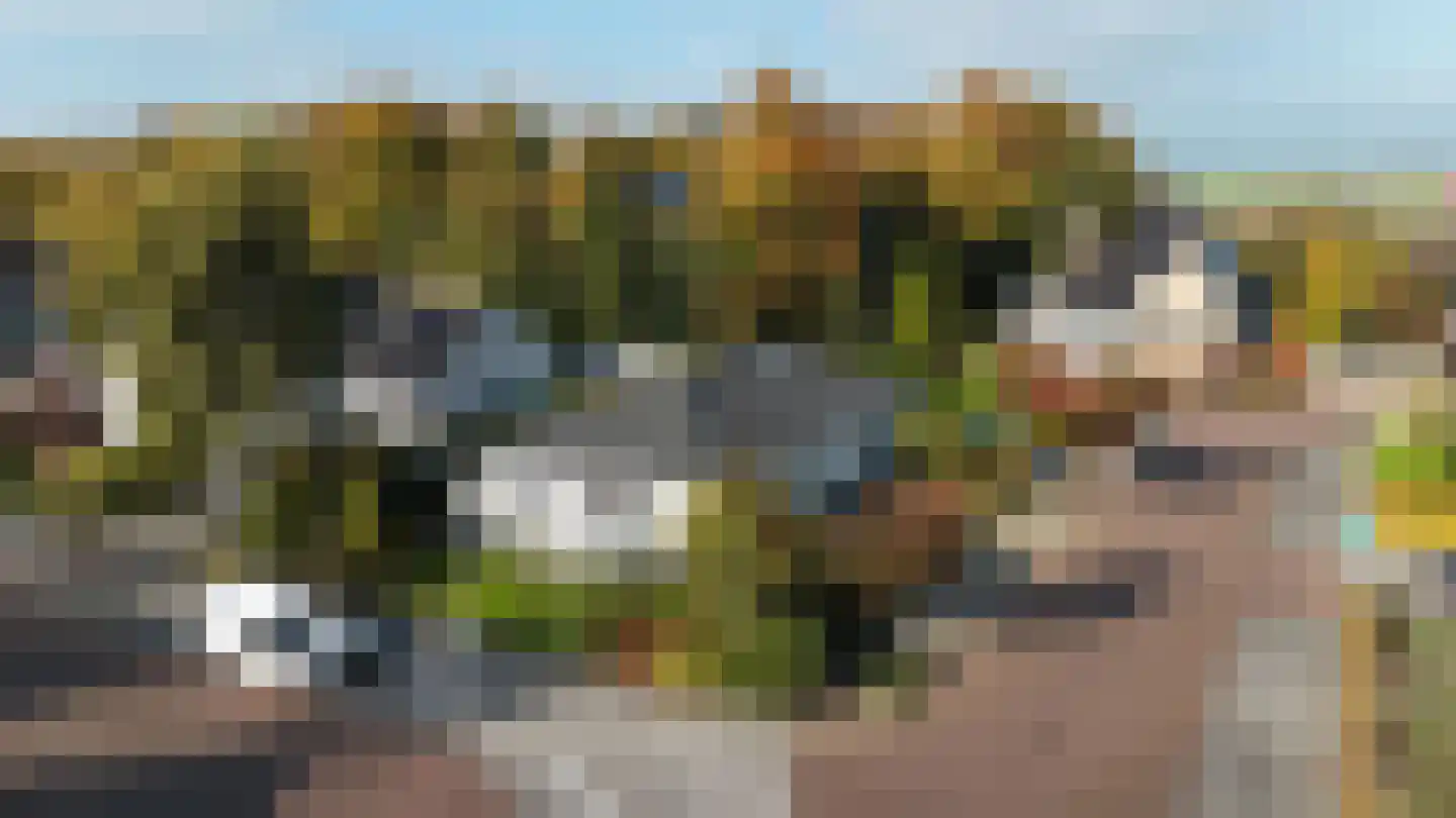 Texellaan 14 Emmeloord thumbnail 31