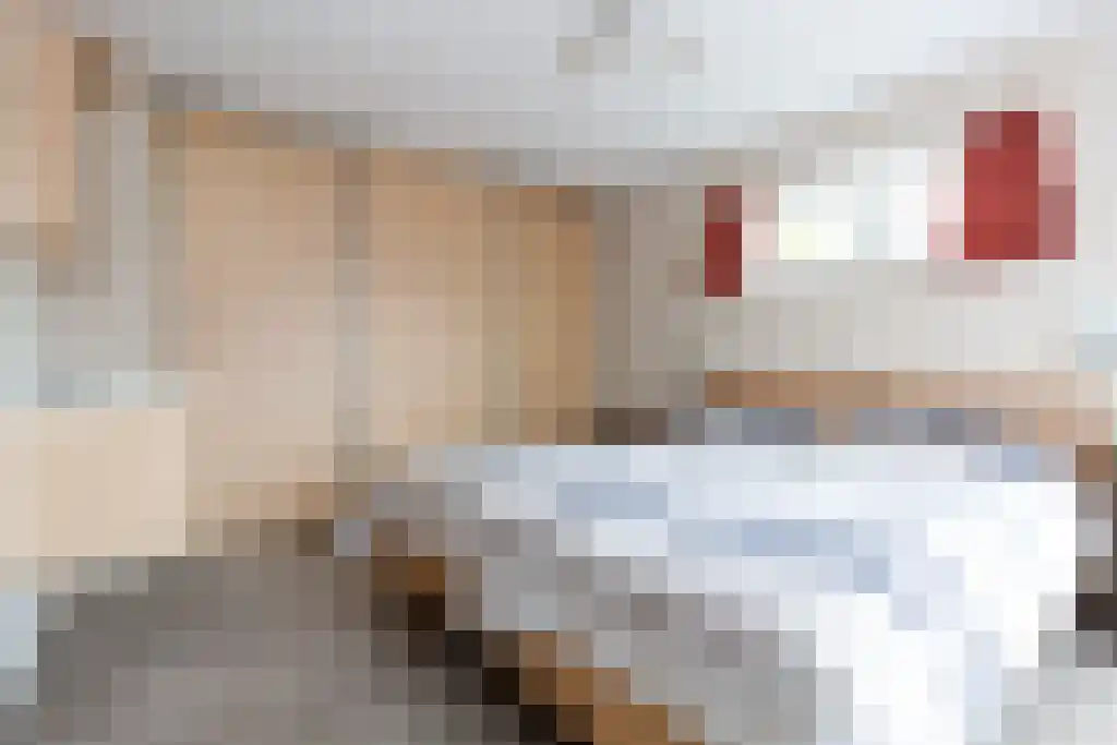 Texellaan 14 Emmeloord thumbnail 4