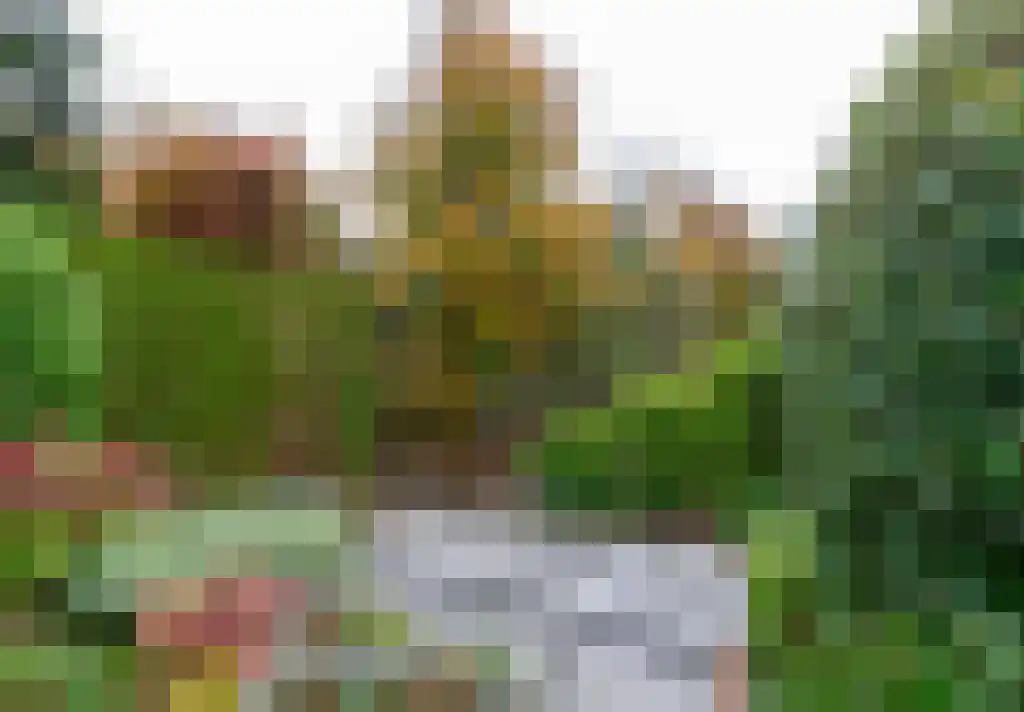 Texellaan 14 Emmeloord thumbnail 5
