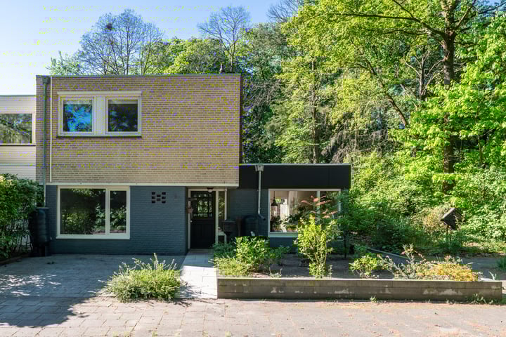 Texellaan 2 in Son en Breugel foto