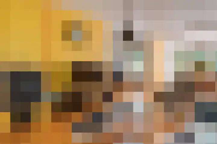 Texellaan 2 Son en Breugel thumbnail 10