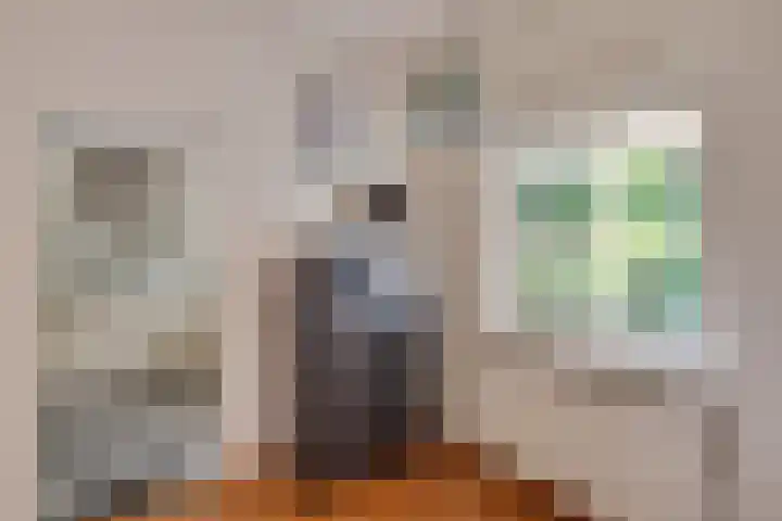 Texellaan 2 Son en Breugel thumbnail 16