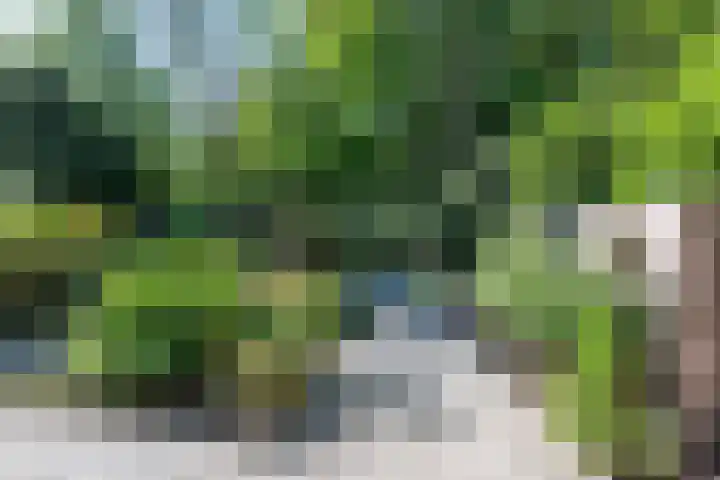 Texellaan 2 Son en Breugel thumbnail 37