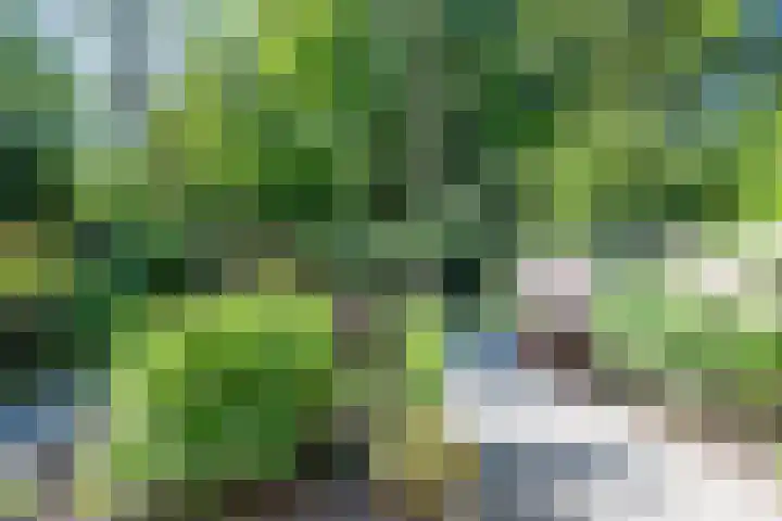 Texellaan 2 Son en Breugel thumbnail 4