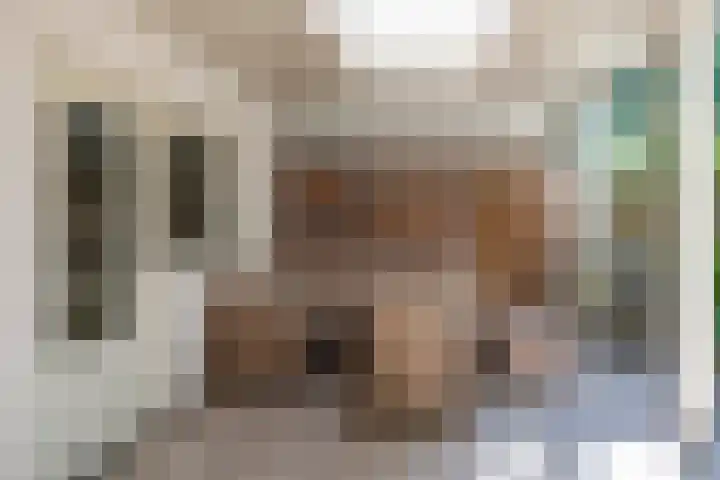 Texellaan 2 Son en Breugel thumbnail 41