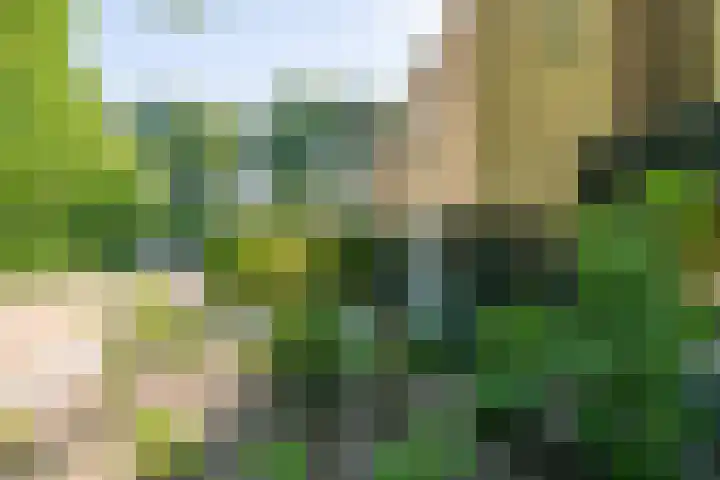 Texellaan 2 Son en Breugel thumbnail 44
