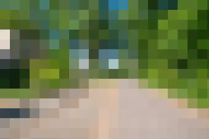 Texellaan 2 Son en Breugel thumbnail 50