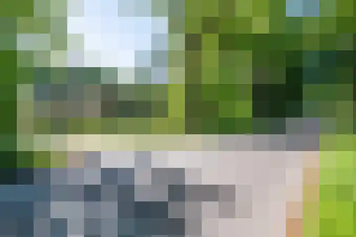 Texellaan 2 Son en Breugel thumbnail 51