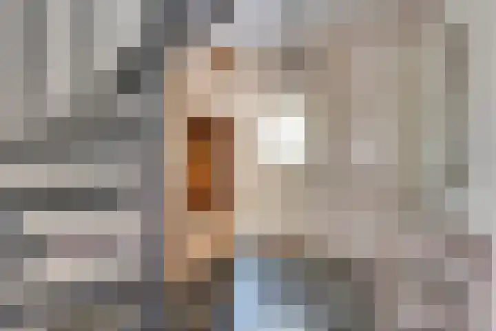 Texellaan 2 Son en Breugel thumbnail 6