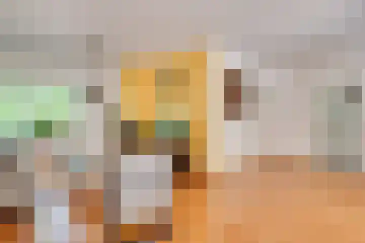 Texellaan 2 Son en Breugel thumbnail 8