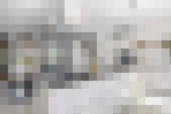 Texellaan 22 Gouda thumbnail 12