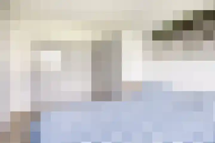 Texellaan 22 Gouda thumbnail 21