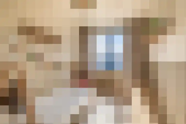Texellaan 22 Gouda thumbnail 25