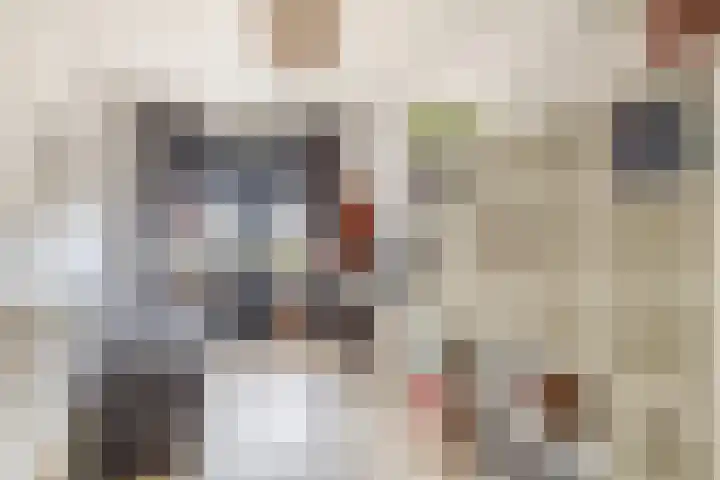 Texellaan 22 Gouda thumbnail 30