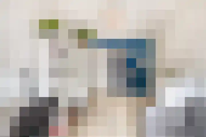 Texellaan 22 Gouda thumbnail 31