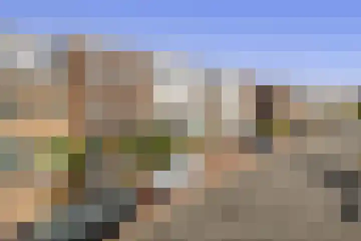 Texellaan 22 Gouda thumbnail 4