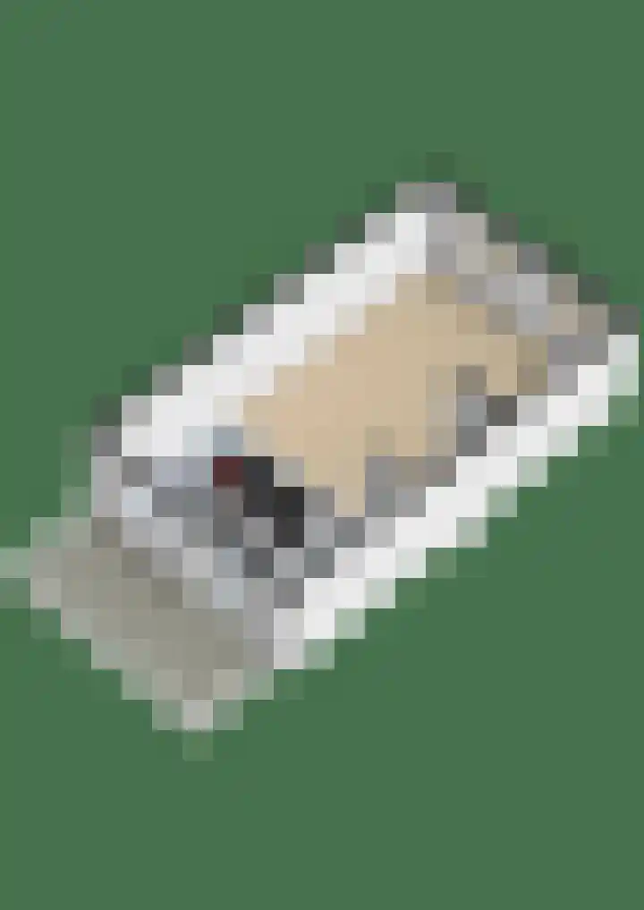 Texellaan 22 Gouda thumbnail 42
