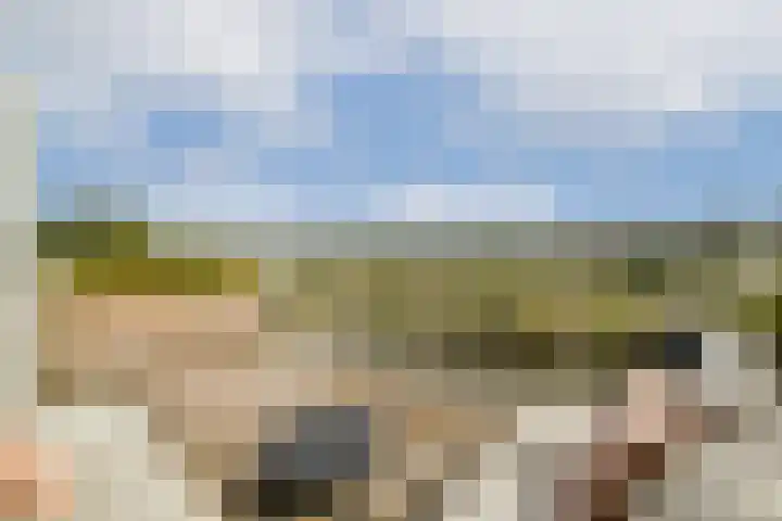 Texellaan 34 Gouda thumbnail 21