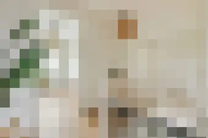 Texellaan 34 Gouda thumbnail 25