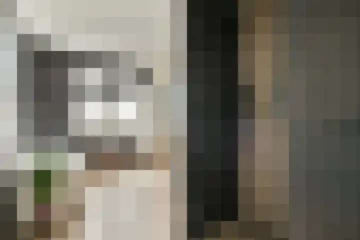 Texellaan 34 Gouda thumbnail 32