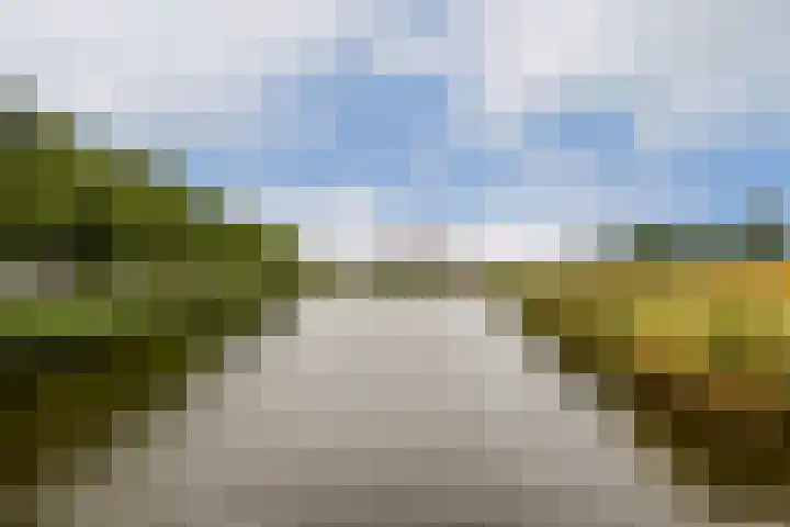 Texellaan 34 Gouda thumbnail 36