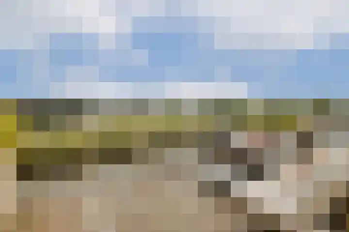 Texellaan 34 Gouda thumbnail 4